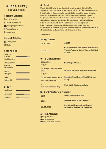 Çocuk Bakıcısı CV Örnekleri cv indir